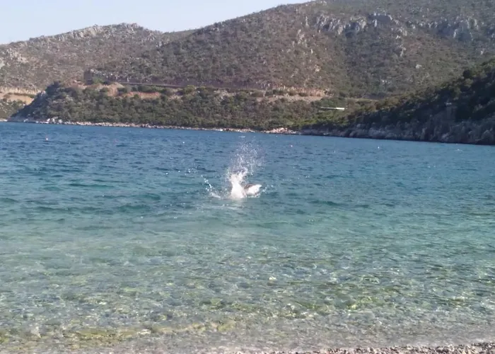 Two-storey Mansion At The Sea Casa vacanze