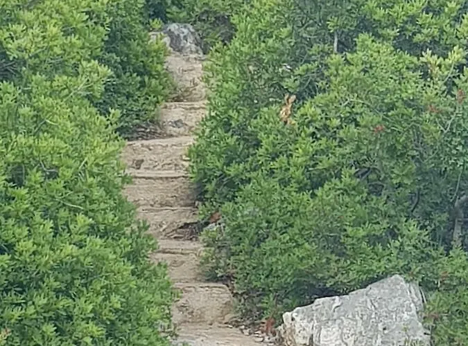 Casa vacanze Two-storey Mansion At The Sea *